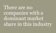 There are no companies with a dominant market share