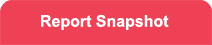 Report Snapshot
