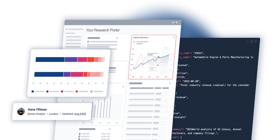 Screen of an IBISWorld API integration solutions