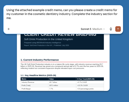 Screen of Claude MCP applications with IBISWorld data