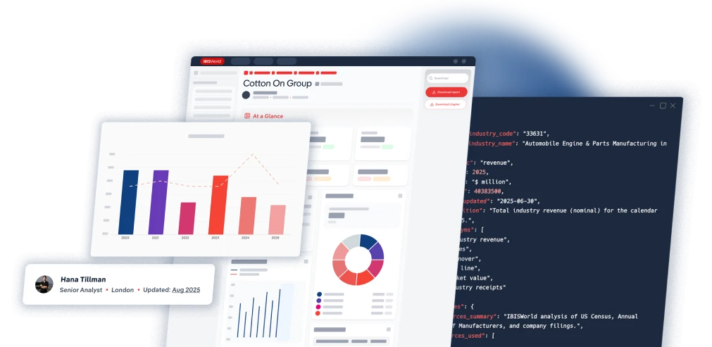 Screen of an IBISWorld Enterprise Profiles