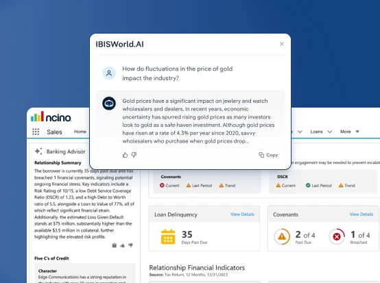 Screen of nCino client data with IBISWorld data