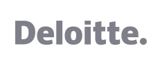 IBISWorld Client Success Stories - Deloitte